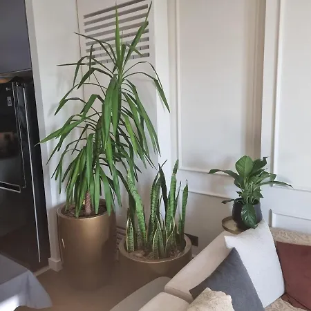 Exclusive Bw Terraces Βελιγράδι