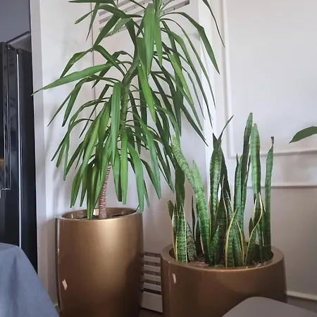 Exclusive Bw Terraces Διαμέρισμα Βελιγράδι